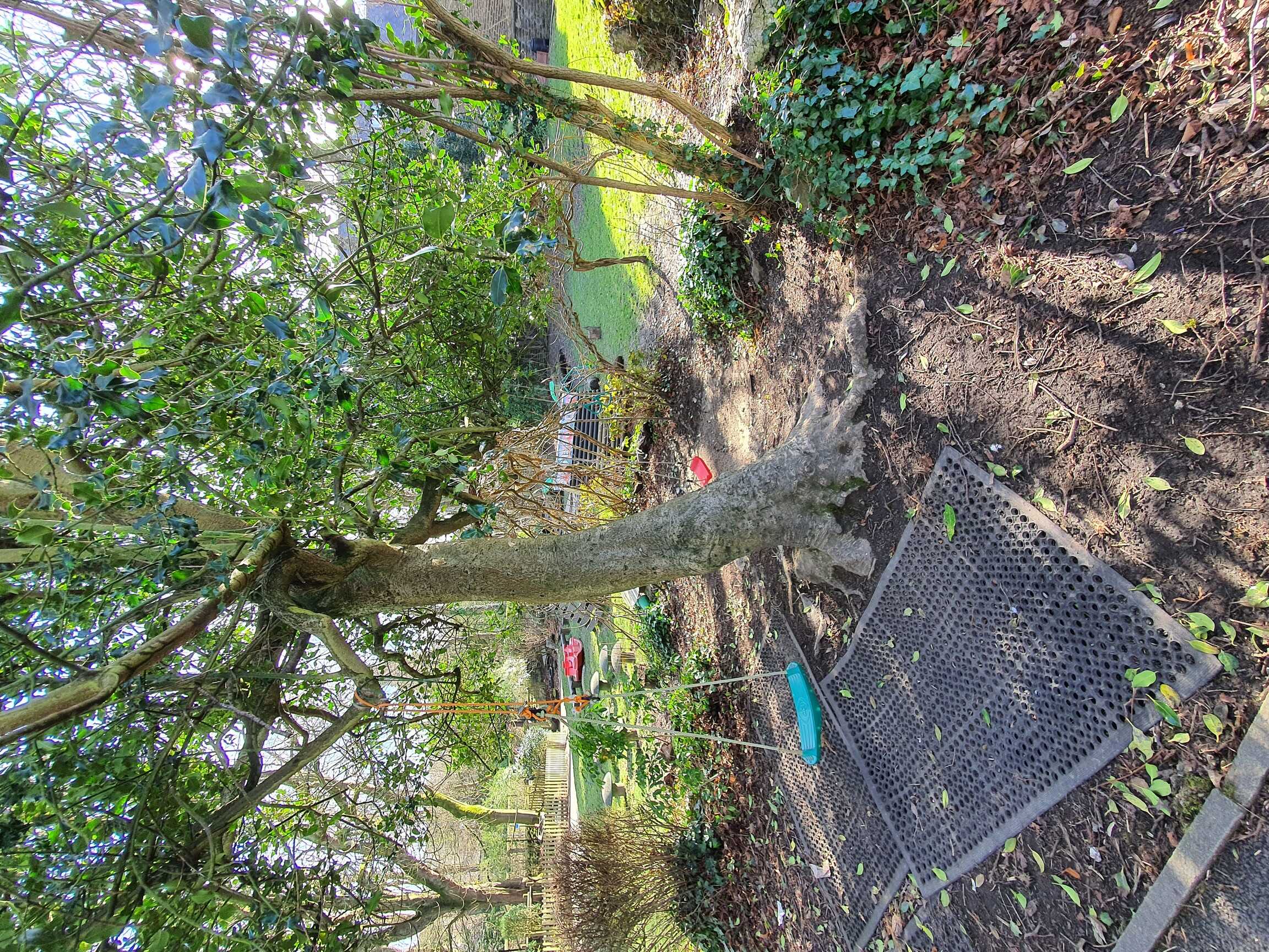 Front Garden swings lo.jpg 50